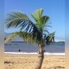 locomocohawaii